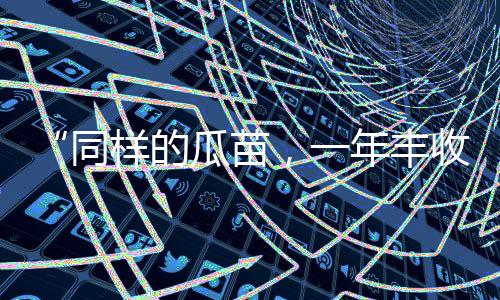 收啥菜农：高产变歉收