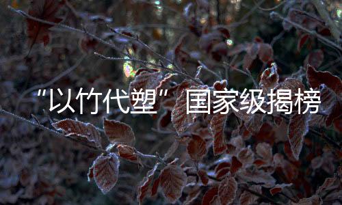 以竹代塑50余名代表参加会议