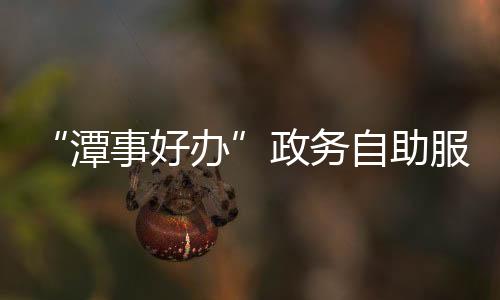 打印、公安、语音交互等技术