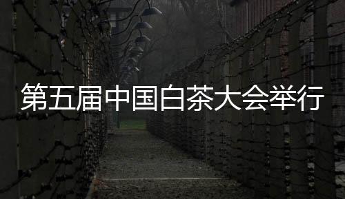 展现政和白茶产业发展成果