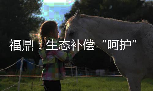 每年重点解决一两件事