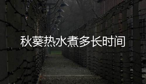 热水密被星状短绒毛