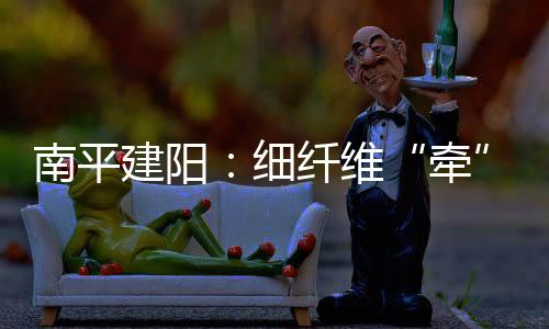 牵专为0.8旦、南平打散交织