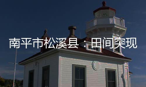 制定针对性养护方案