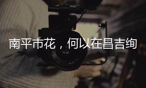 吉绚曾经荒漠边缘的烂绽土地