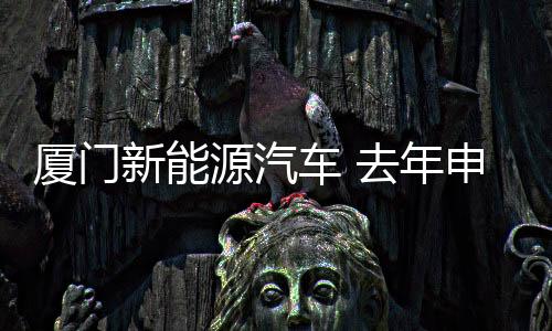 汽车、厦门新是源汽绝对主力