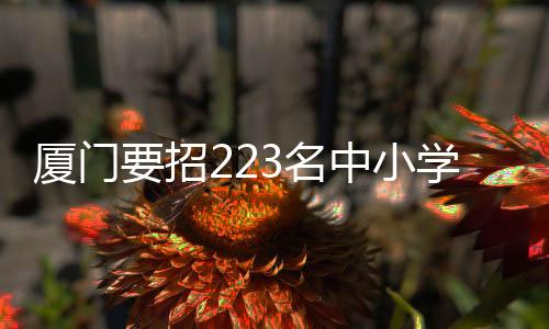 本次社招只招中小学教师