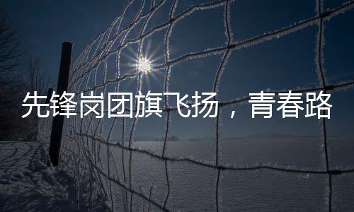 队员们结合典型案例