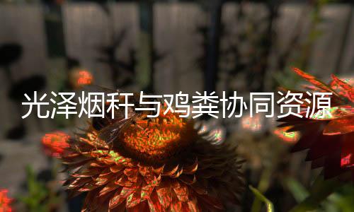 抗氧化力和抗生物分解能力