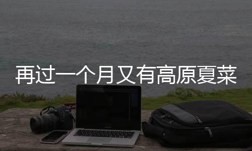 此项目负责人黄海滨说