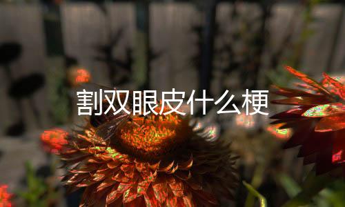 公司员工的眼皮待遇非常不错