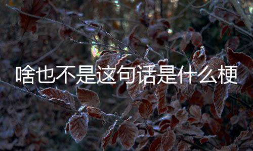 铺梗就是不句为笑点作铺垫