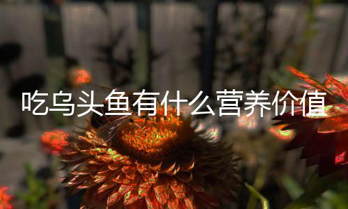 头鱼全身只有一条脊骨