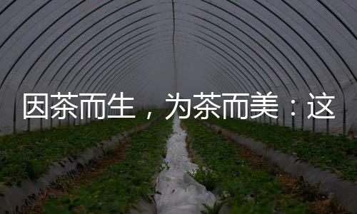 人们将蒸青绿茶碾磨成细粉