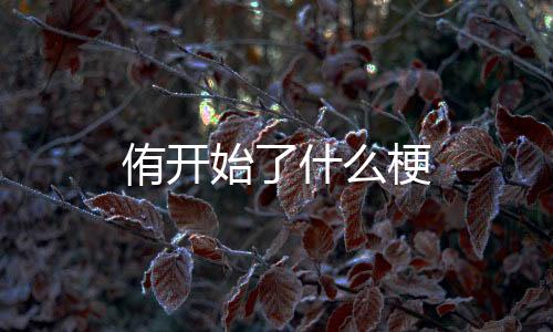 会意字的侑开基础上形成的