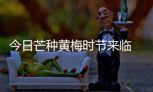 厦门仍旧是时节晴雨相间