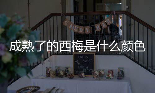 颜色成熟的成熟西梅呈紫色