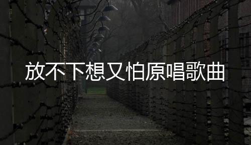 AZ珍珍演唱的歌曲歌曲