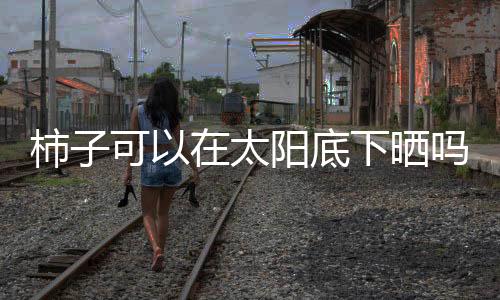 又到了吃柿子的柿可晒季节了