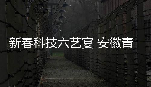 新春不止鞭炮与佳肴