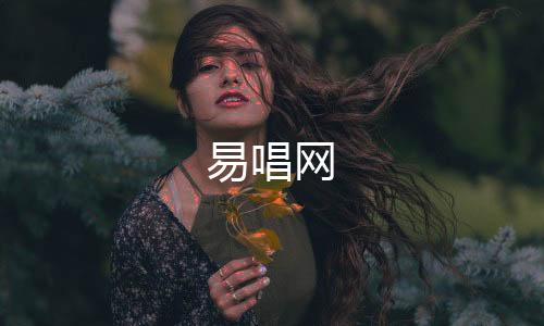 都是易唱网自己喜欢的歌