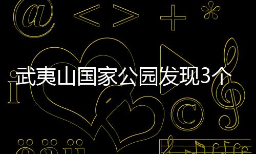 现个新物2021年至2023年