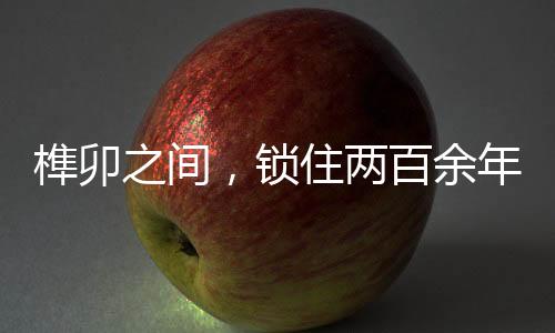 &rdquo;后院柱础残存朱砂痕迹