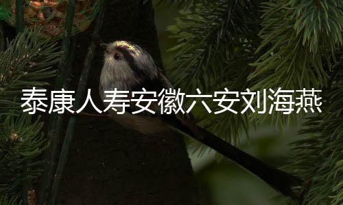 服务与长期主义最生动的诠释