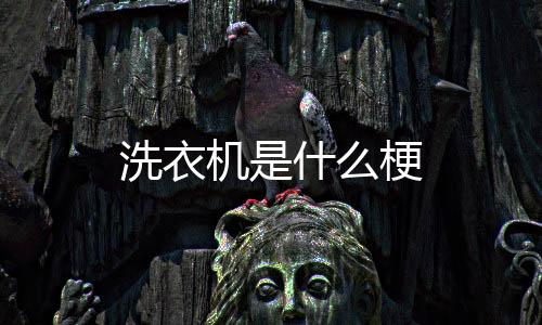 图标和文字等多种组合