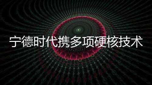 电池可满足8年以上行驶需求