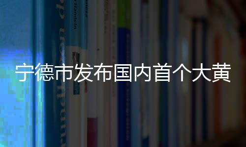 黄鱼引领宁德大黄鱼品牌建设