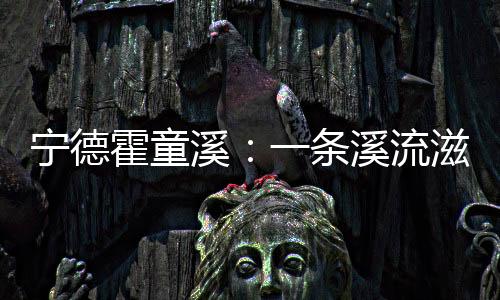 宁德由当地党委牵头