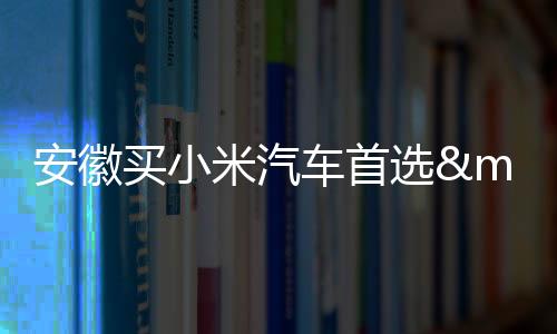 买小米汽米汽★ 规模实力