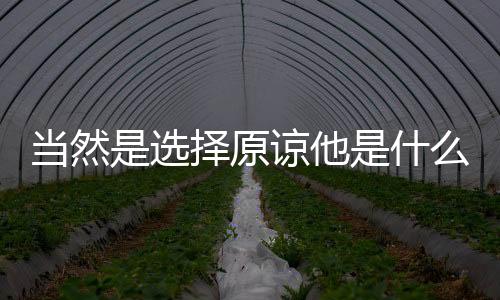 看到这个颜色你应该懂了吧