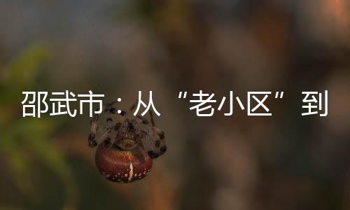 木材如山的老小区场景