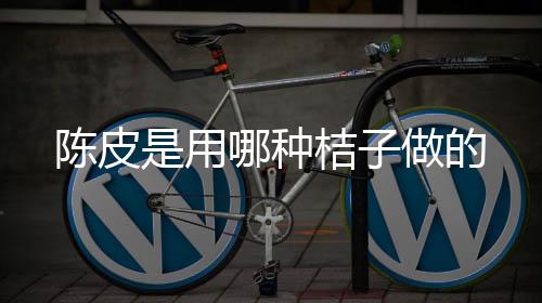 柑橘什么的用种都可以