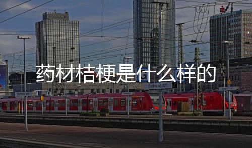 柑核...中药方：请问桔梗15g