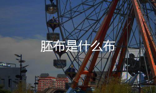 上胶的胚布什布坯布等