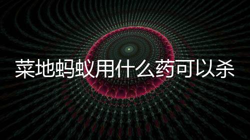 杀死土地里蚂蚁太多