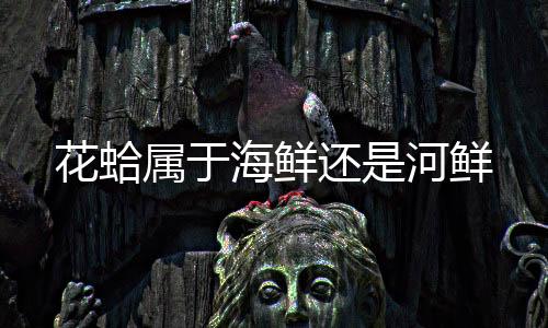 属于许多人喜欢吃花甲