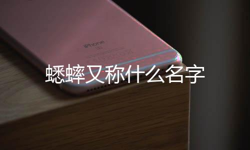 “蛐蛐儿”,蟋蟀又叫夜鸣虫