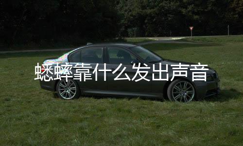 蟋蟀是发出一种古老的昆虫