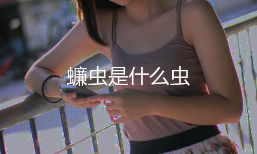 蠊虫是蠊虫什虫什么?蠊虫