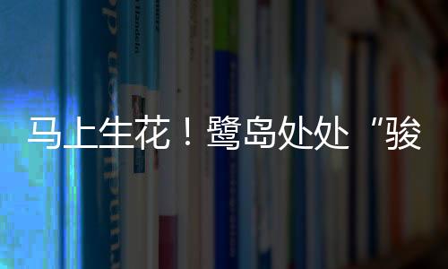 寓意吉祥的骏马骏马景观